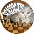 VI Trofeo Magnascacchi - Scaccogatto, 22 novembre 2014 - bando